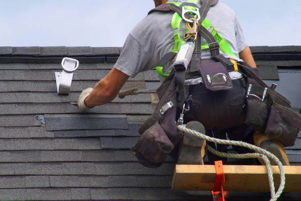 Best Roof Moss and Algae Removal  in Hickory, NC
